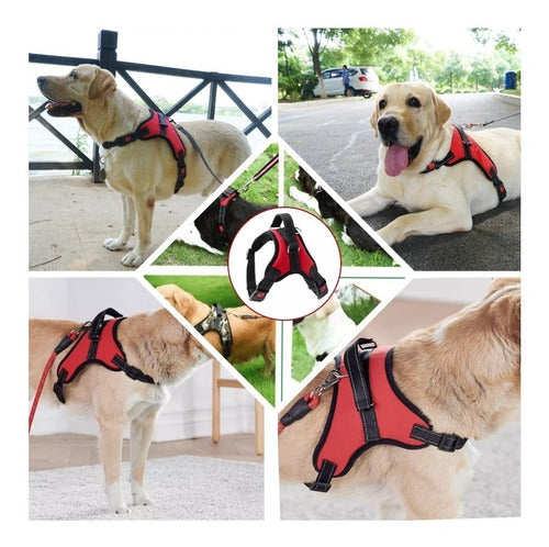 Petdog Pretal Arnes Perro Acolchado Varios Talles Calidad Premium 0