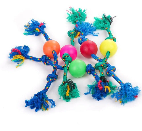 DYS Online Medium Rubber Ball with Alpine Rope Dog Toy 3