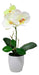 Artificial Orchid with Ceramic Planter 3