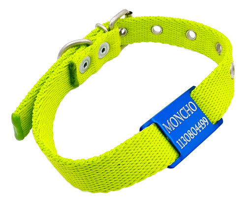 MEDALLAS PARA PERROS Chapitas Perros Pasador Azul + Collar De 2cm Verde Manzana 2