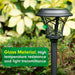 Beau Jardin Paquete De 8 Luces Solares Bright Pathway Outdoo 3