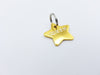 Medallas Para Perros Star Shaped Tag 32x32mm in Gold with Name and Phone 2