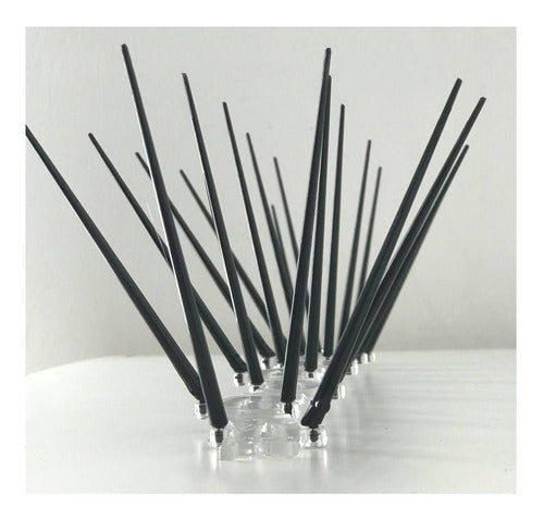 Sanipro 1m Pinches Pinchos Negro Posado Palomas Proteccion Medianera 1