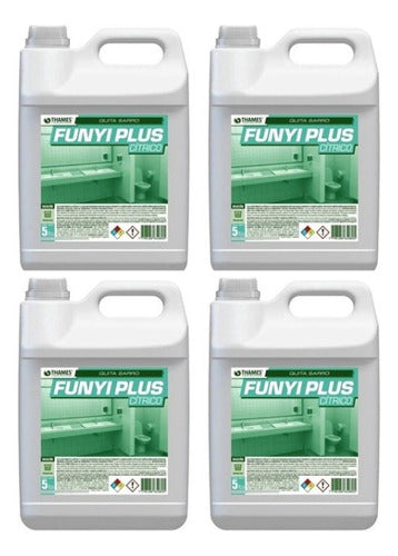 Thames Anti Sarro Desincrustante Funyi Plus 5lts Citrico X4 0