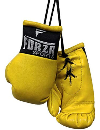 Forza Sports Mini Guantes De Boxeo 0