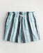 Hollister Swim Shorts!!! All Sizes from S to XL!!! 3