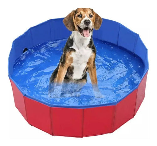 Piscina Para Mascotas 0