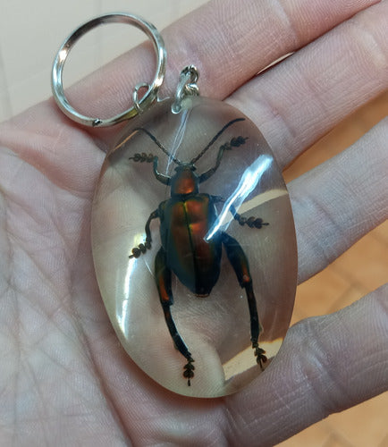 Natural Resin Insect Keychain 1