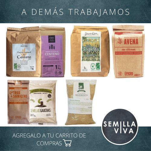 Sentido Común Organic Whole Spelt Flour 6 X 1 Kg 1