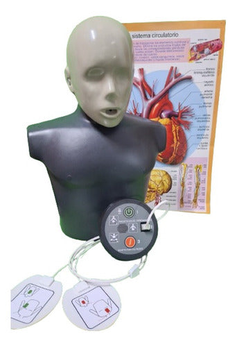 ODD Maqueta Dea Torso RCP Odd, Kit Maqueta Dea Para Enseñanza 0