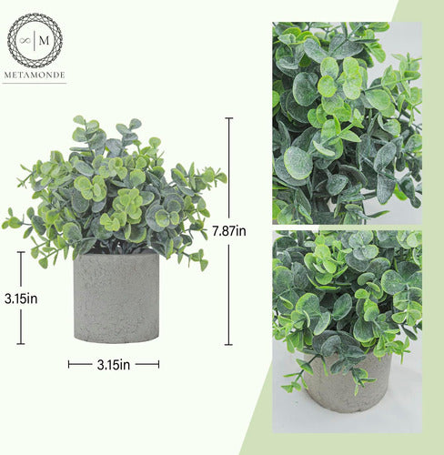 Metamonde 8 M 2 Pack Pequeñas Plantas Falsas Plantas Macetas 1