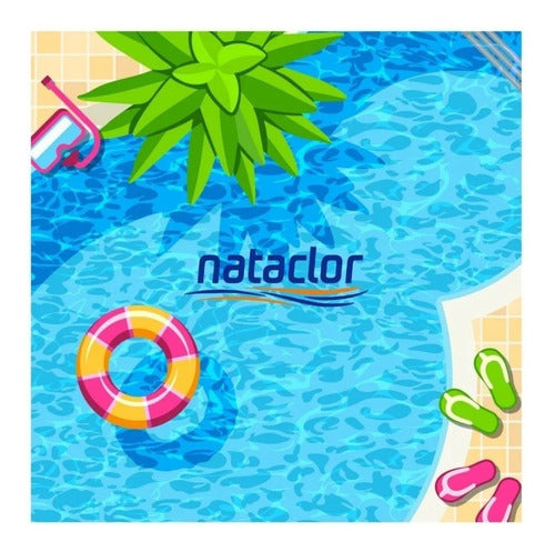 Nataclor Liquid Algaecide 1 L Pool Abasto/Avellaneda Area 2