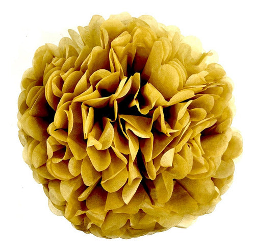 Generic Tissue Paper Pom-Pom - 40 cm - 26 Available Colors 5