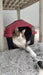 Durapet's Medium Dog House N°2 Thermal Filtrouv 6