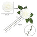 ~? Joylex Flores Artificiales Rosas Realistas, 50pcs Rosas F 1