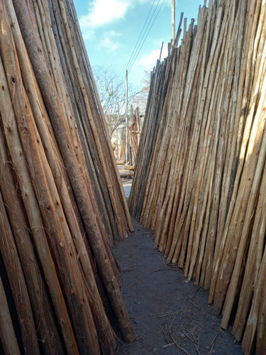 Fernando Rústicos Eucalyptus Posts/Poles/Branches with 7cm to 9cm Diameter 2