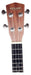 Ashland Ukelele Electroacustico Uk216c-eq 1