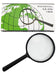 Pack of 5 90mm Magnifying Glass 0