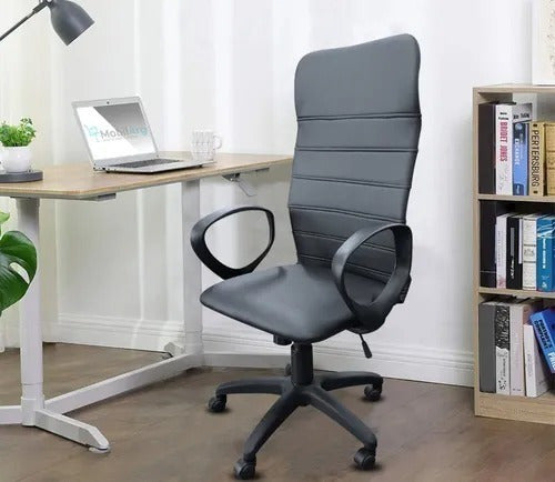 Mobilarg Ergonomic Executive Chair Blas Adjustable Ecocuer 3