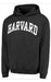 Estampacenter Buzos Canguro, Harvard, Unisex, Retro, Hipster, Hip Hop 0