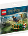 LEGO Harry Potter Quidditch Practice 55 Pcs 30651 1