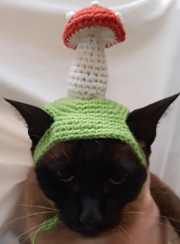 Sombrero De Hongo Para Gatos A Crochet 1