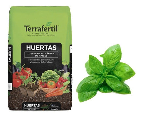 Terrafertil Vegetable Garden Substrate 50L with Basil Seeds 0