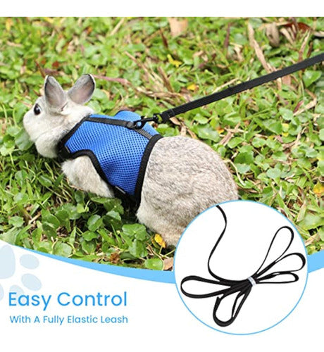 Gonalulu Rabbit Harness Leash Set 1