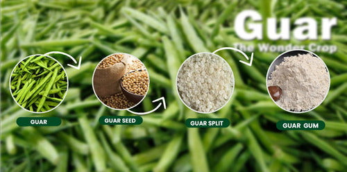 Goma Guar - Espesante Y Emulsionante Natural - 5 Kg. 2