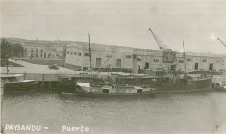 Puerto De Paysandú En El Año 1942 - Lámina 45x30 Cm. 1