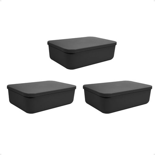 Plásticos Cerri Set X3 Canastos Organizadores Con Tapa Cajas Moderna 26x18x8 0