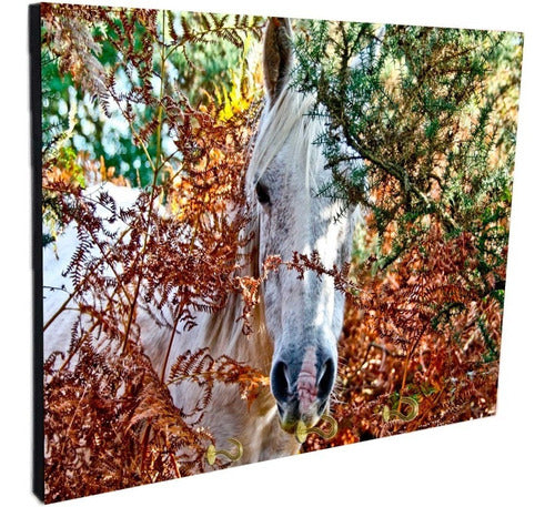 Wall Key Holder Horses Various Models 15x20cm (8) 20