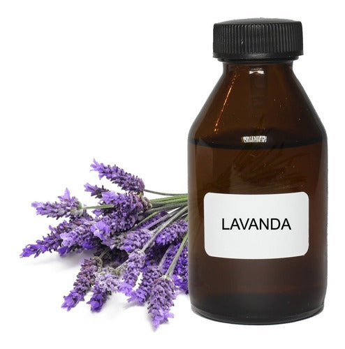 Blend Lavanda De La Provenza, Manzanilla E Incienso X 100 Ml 0