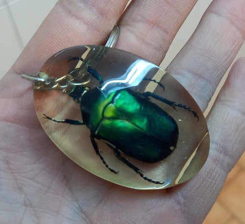 Natural Resin Insect Keychain 0