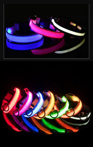 CC LED Light Collars for Pets - Rechargeable XS-S-M 1