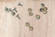 500 Silver Covered Rivets 10-10 x500 3