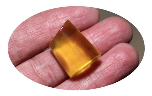 Nefer Joyas Amber from the Baltic Sea Natural Gem Quality 100% 0