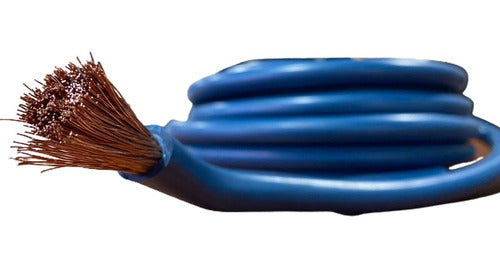 Blue Electrode Holder Cable 1x35 Nasello 10m Ø Ext 12.2mm 1