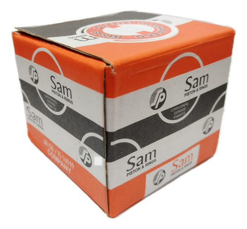 Sam Complete Piston Kit for Bajaj Rouser 135 + Measurements 5