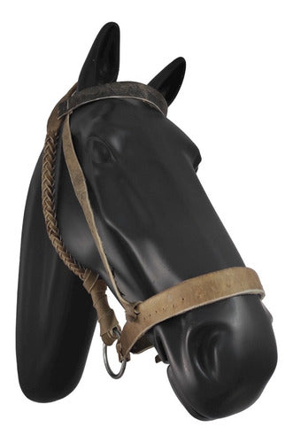Heavy Palenquero Raw Leather Muzzle for Horse by Jaleña Talabartería 1