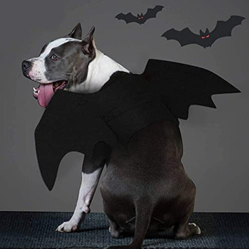 Generic Bat Wings Costume for Pets 6