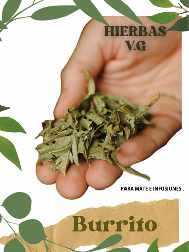 Hierbas V.G Hierba Burrito Digestivo 5 Paquetes 500g Infusiones O Mate 3