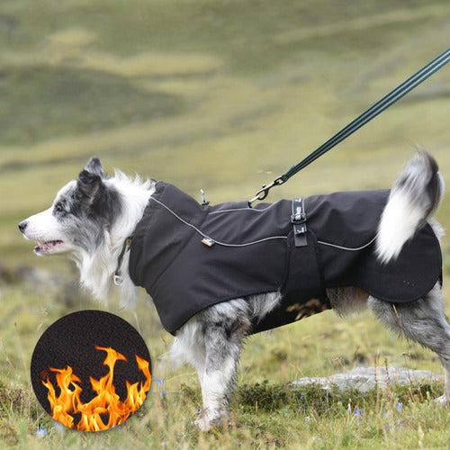 Capa De Chuva Para Cachorro Jaqueta Para Cachorro Roupas Gg 4