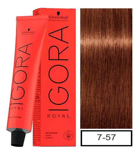 Schwarzkopf Igora Royal Kit Tintura 7-57 + 1 Oxidante 60m 1