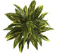 Casi Natural 19 Tradescantia (real Touch) (set De 6) Planta 0