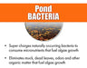 Pondworx Limpiador De Bacterias De Estanque Formulado Para G 3