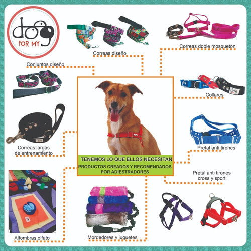 For My Dog Individual Car Safety Belt for Dogs 2