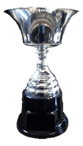 Copa Premio Modelo 170/6 De 35 Cm 0