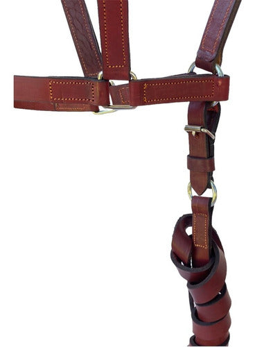 El Tobiano Premium Leather Muzzle with Special Halter 1