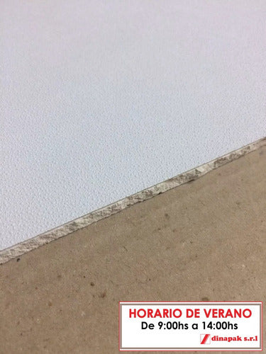 MG Detachable Vinyl Gypsum Panel - Non Durlock or Knauf 0